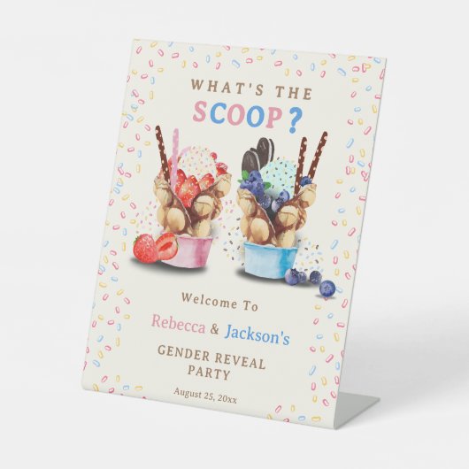 Blubble Waffel Ice Cream Gender Reveve Willkommen Sockelschild (Vorderseite)