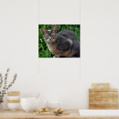 Blue Abyssinian cat - Poster (Küche)