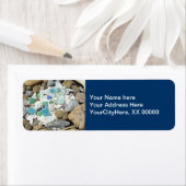 Blue Address Labels Nature Beach Muscheln Rocks (Insitu)