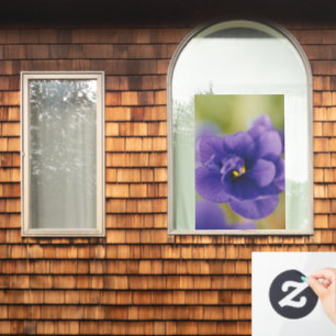 Blue African Violet Saintpaulia Fensteraufkleber