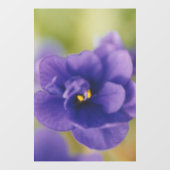 Blue African Violet Saintpaulia Fensteraufkleber (Blatt)