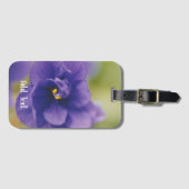 Blue African Violet Saintpaulia Gepäckanhänger (Vorderseite (Horizontal))