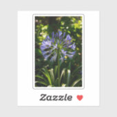 Blue Agapanthus Blume Aufkleber (Blatt)