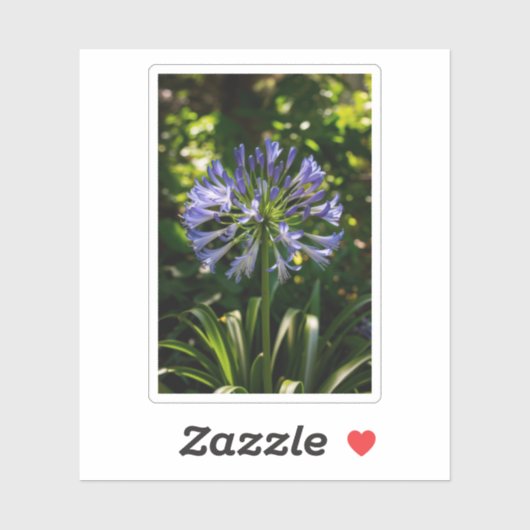 Blue Agapanthus Blume Aufkleber (Blatt)
