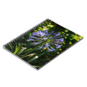Blue Agapanthus Blume Notizblock (Linke Seite)