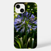 Blue Agapanthus Blume Phone Case (Rückseite)