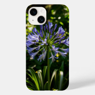 Blue Agapanthus Blume Phone Case