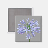 Blue Agapanthus Magnet (Vorderseite/Rückseite)