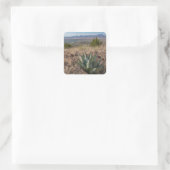 Blue Agave Fort Davis Texas Quadratischer Aufkleber (Tasche)