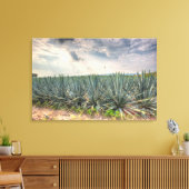 Blue Agave Leinwanddruck (Insitu (Wohnzimmer))
