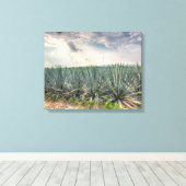 Blue Agave Leinwanddruck (Insitu (Holzboden))