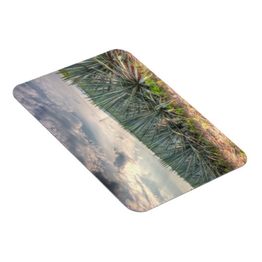 Blue Agave Magnet (Rechte Seite)