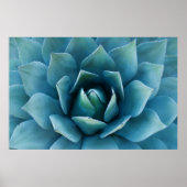 Blue Agave Poster (Vorne)