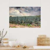 Blue Agave Poster (Küche)