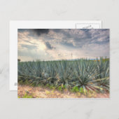 Blue Agave Postkarte (Vorne/Hinten)