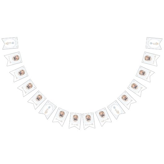 Blue Albern Gans 12 Monate Foto Banner (Alle)