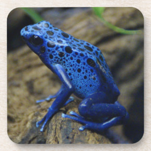 Blue and Black Poison Dart Frosch Getränke Coaste Getränkeuntersetzer
