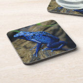 Blue and Black Poison Dart Frosch Getränke Coaster Getränkeuntersetzer (Linke Seite)