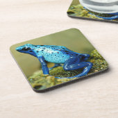 Blue and Black Poison Dart Frosch Getränkeuntersetzer (Linke Seite)