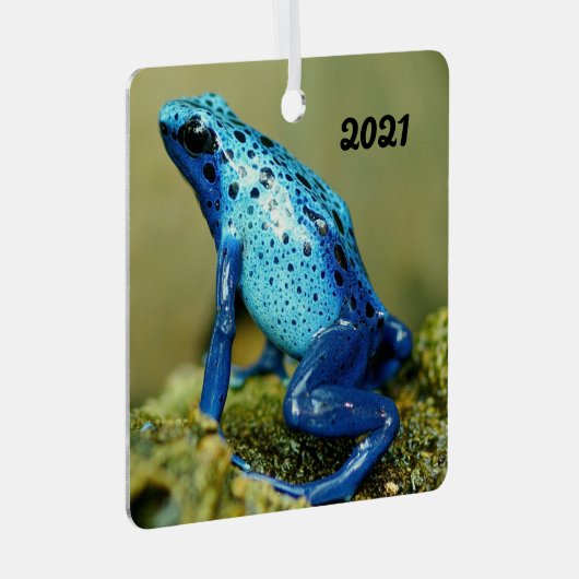 Blue and Black Poison Dart Frosch Ornament Aus Metall (Vorderseite Rechts)