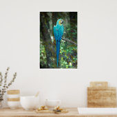 Blue-and-gelb-macaw von JungleWalk.com Poster (Küche)