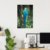 Blue-and-gelb-macaw von JungleWalk.com Poster (Heimbüro)