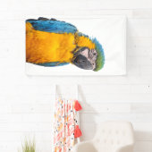 Blue and Gold Macaw Banner (Insitu)