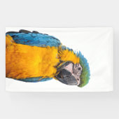 Blue and Gold Macaw Banner (Horizontal)