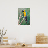 Blue and Gold Macaw Bird Art Poster (Küche)