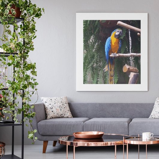 Blue and Gold Macaw Bird Fotodruck