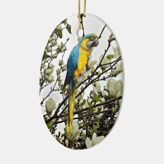 Blue and Gold Macaw Keramik Ornament (Links)