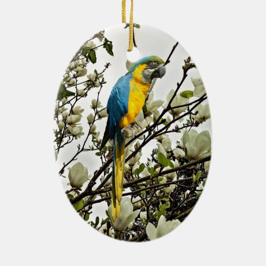 Blue and Gold Macaw Keramik Ornament (Hinten)