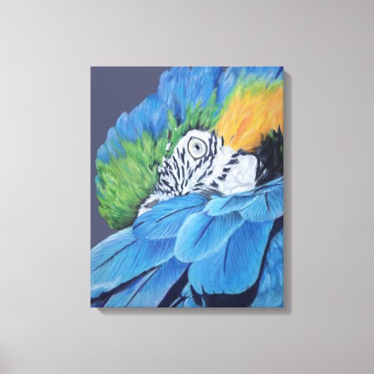 Blue and Gold Macaw Leinwanddruck (Vorderseite)
