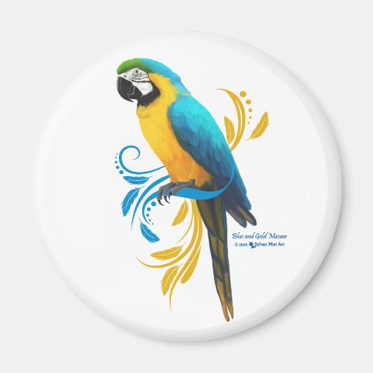 Blue and Gold Macaw Magnet (Vorne)