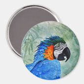 Blue and Gold Macaw Magnet (Vorderseite/Rückseite)