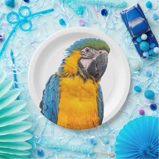 Blue and Gold Macaw Pappteller (Party)
