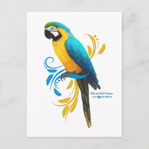 Blue and Gold Macaw Postcard Postkarte