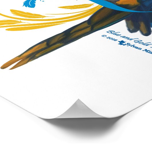 Blue and Gold Macaw Poster (Ecke)