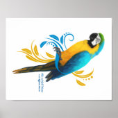 Blue and Gold Macaw Poster (Vorne)