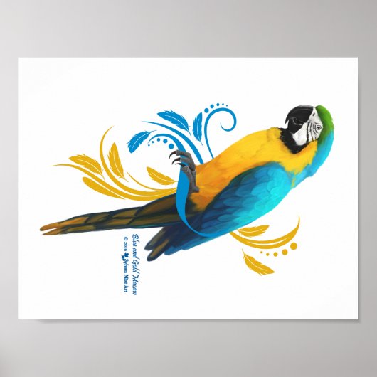 Blue and Gold Macaw Poster (Vorne)