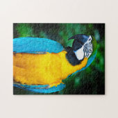 Blue and Gold Macaw Puzzle (Horizontal)