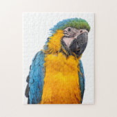 Blue and Gold Macaw Puzzle (Vertikal)