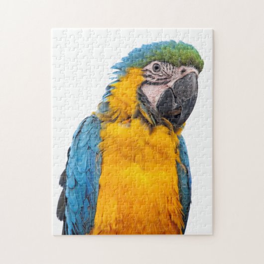 Blue and Gold Macaw Puzzle (Vertikal)