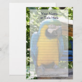 Blue and Gold Macaw Stationery Briefpapier (Vorne/Hinten)