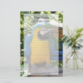 Blue and Gold Macaw Stationery Briefpapier (Stehend Vorderseite)