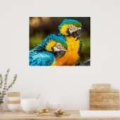 Blue and Gold Macaw Tropical Parrots Print Art Poster (Küche)