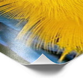 Blue And Gold Parrot Fotodruck (Ecke)