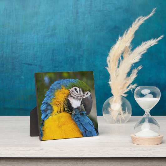 Blue And Gold Parrot Fotoplatte (InSitu)
