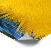 Blue And Gold Parrot Poster (Ecke)