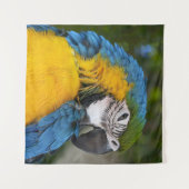 Blue And Gold Parrot Wandteppich (Vorderseite (Horizontal))